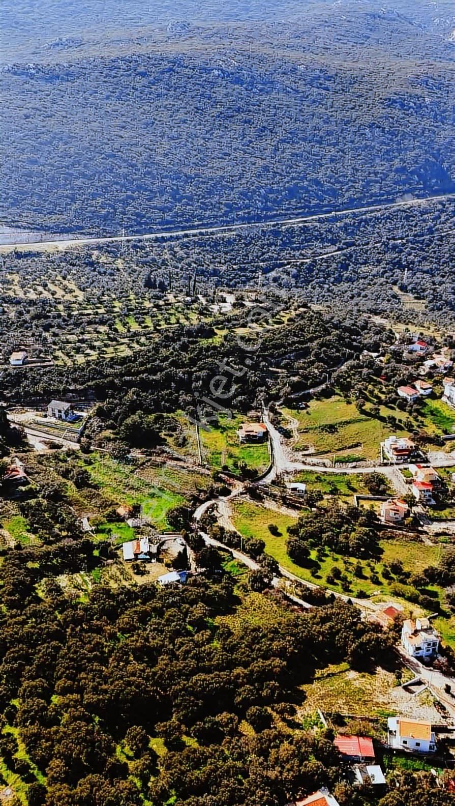 Karaburun Eşendere'de Full Deniz Manzaralı Satılık Tarla - Görsel 8