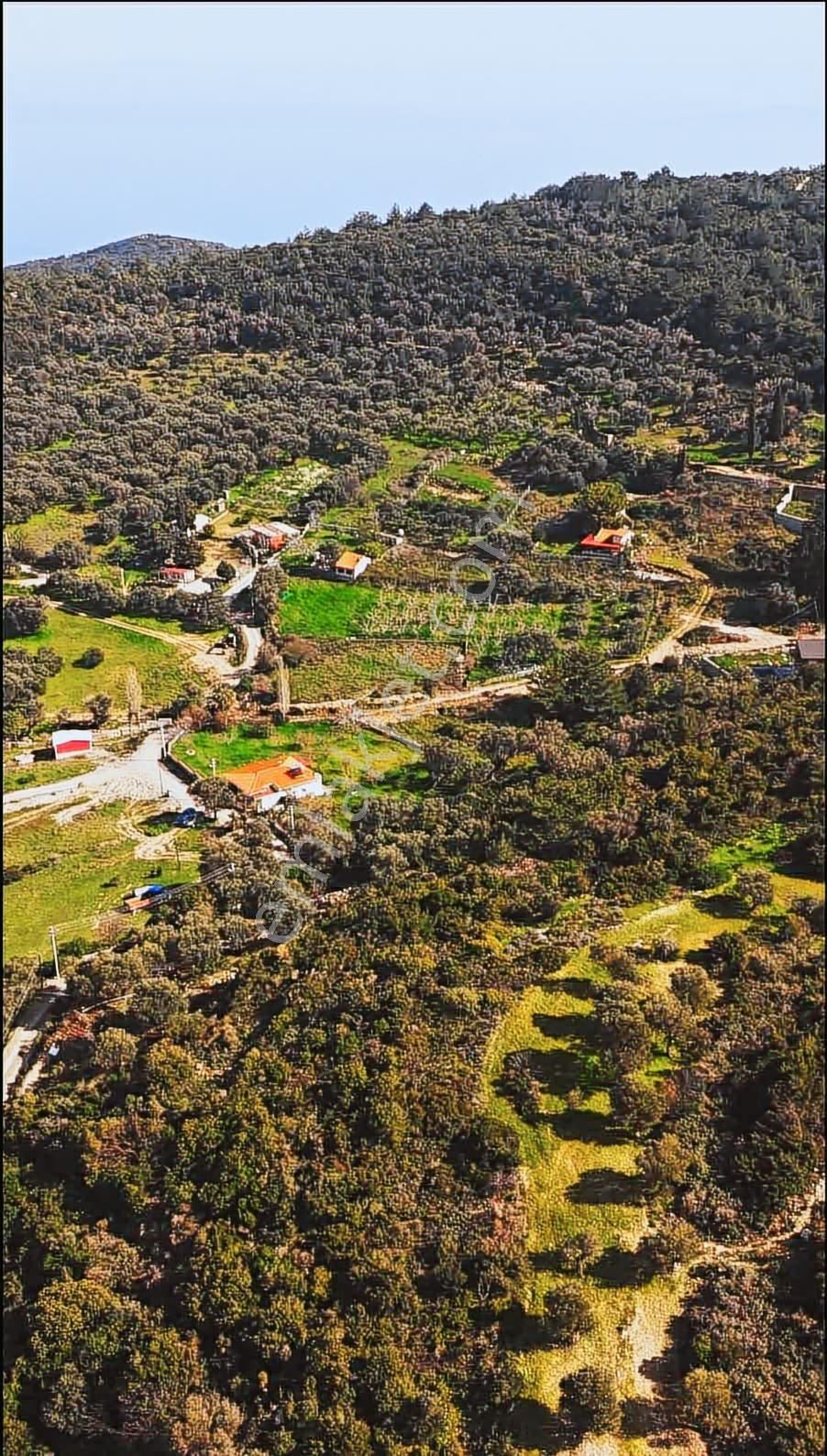 Karaburun Eşendere'de Full Deniz Manzaralı Satılık Tarla - Görsel 6