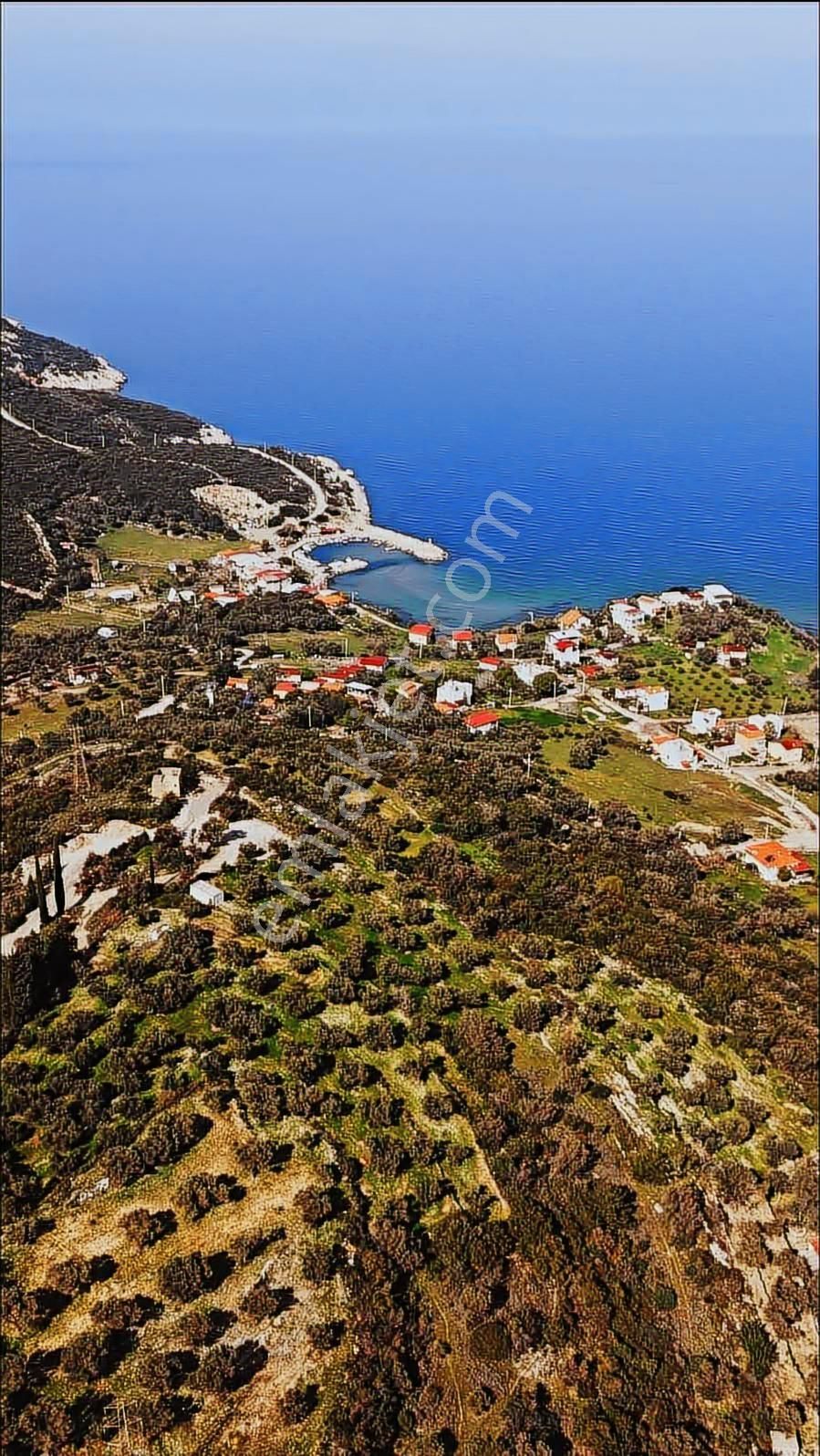 Karaburun Eşendere'de Full Deniz Manzaralı Satılık Tarla - Görsel 3