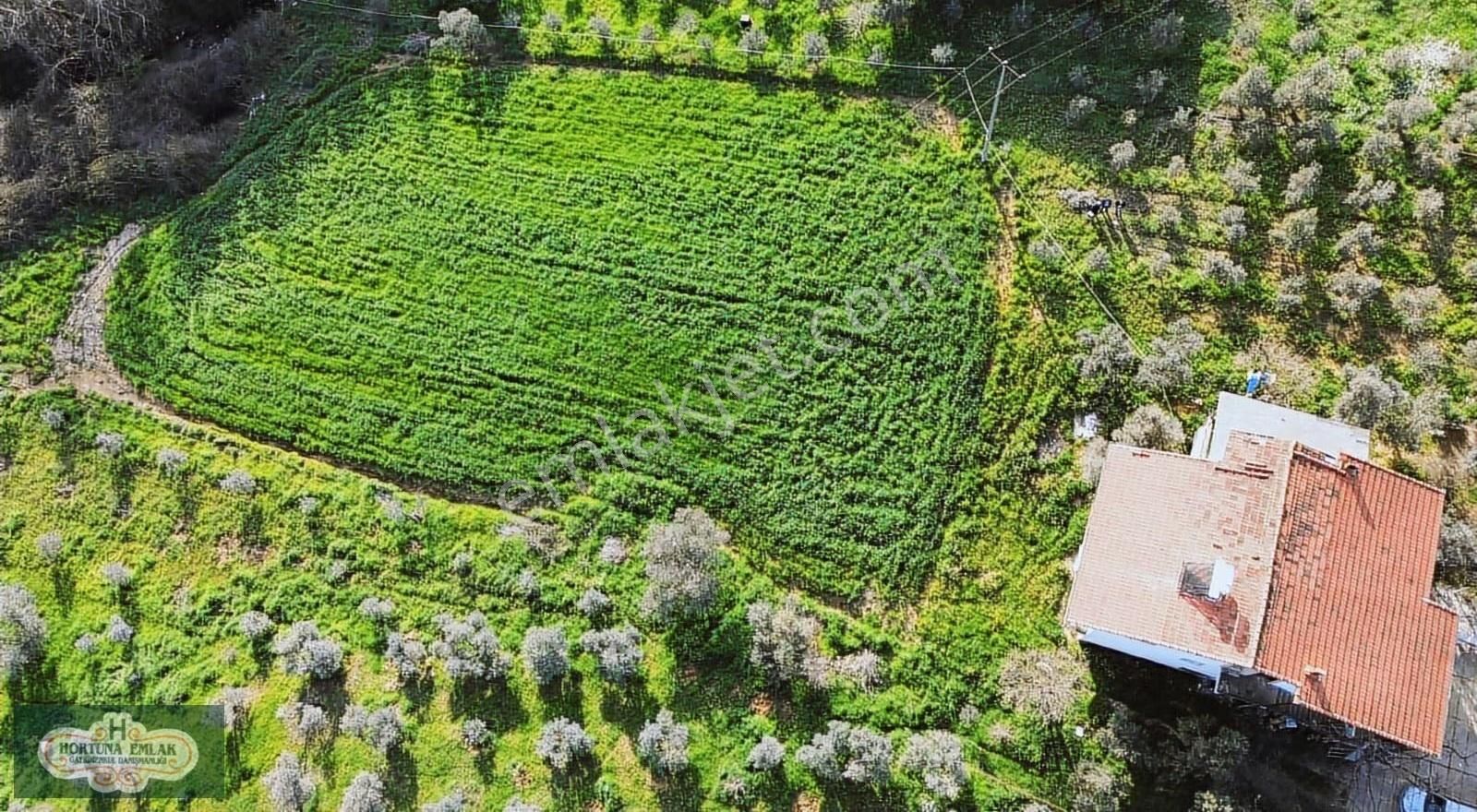 İzmir Menderes Ataköyde Doğa İle İç İçe 4.400m2 Ev Satılık - Görsel 5