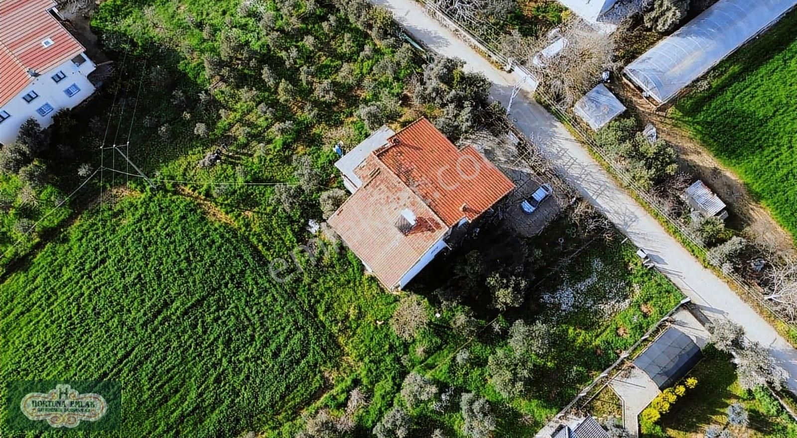 İzmir Menderes Ataköyde Doğa İle İç İçe 4.400m2 Ev Satılık - Görsel 9