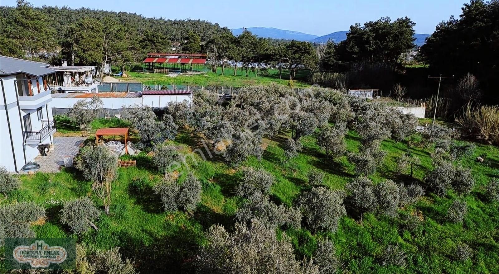 İzmir Menderes Ataköyde Doğa İle İç İçe 4.400m2 Ev Satılık - Görsel 13