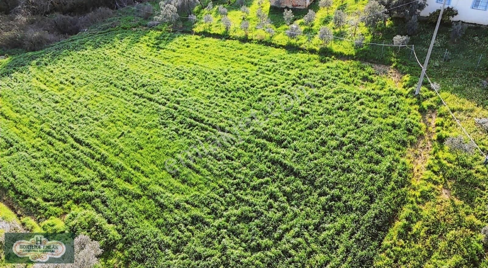 İzmir Menderes Ataköyde Doğa İle İç İçe 4.400m2 Ev Satılık - Görsel 8