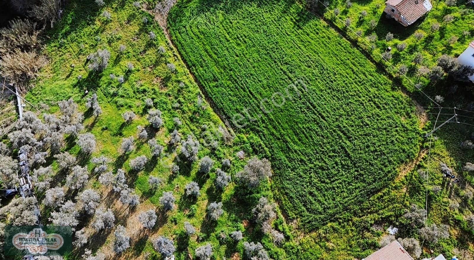 İzmir Menderes Ataköyde Doğa İle İç İçe 4.400m2 Ev Satılık - Görsel 17