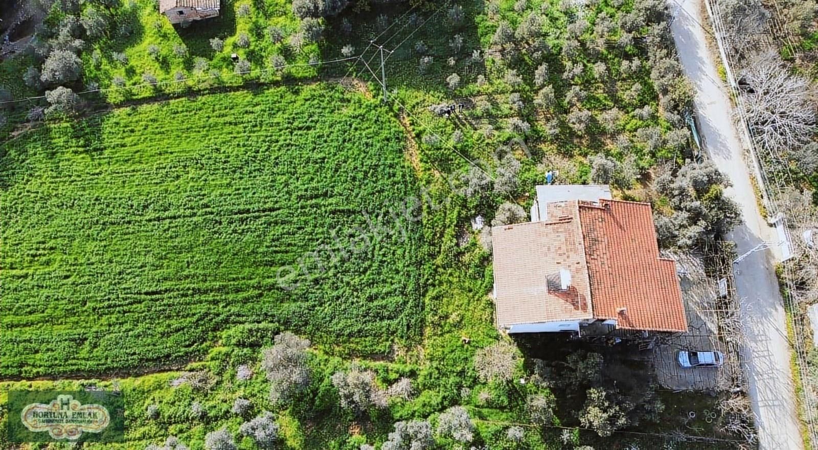 İzmir Menderes Ataköyde Doğa İle İç İçe 4.400m2 Ev Satılık - Görsel 14