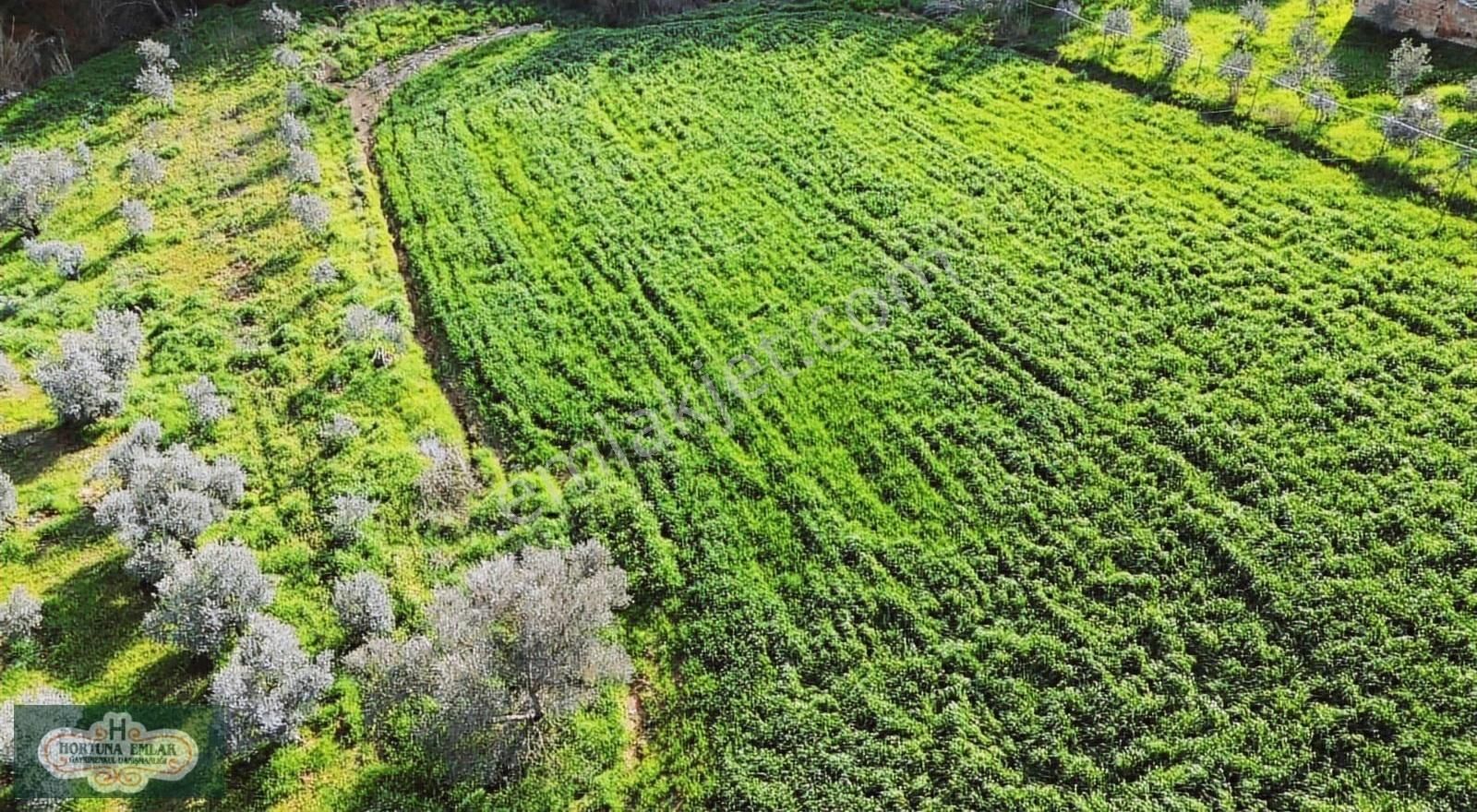 İzmir Menderes Ataköyde Doğa İle İç İçe 4.400m2 Ev Satılık - Görsel 2