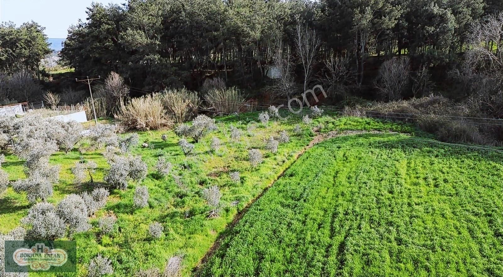 İzmir Menderes Ataköyde Doğa İle İç İçe 4.400m2 Ev Satılık - Görsel 27