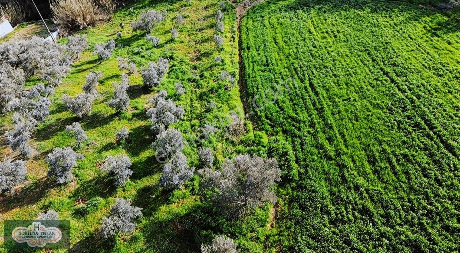 İzmir Menderes Ataköyde Doğa İle İç İçe 4.400m2 Ev Satılık - Görsel 18