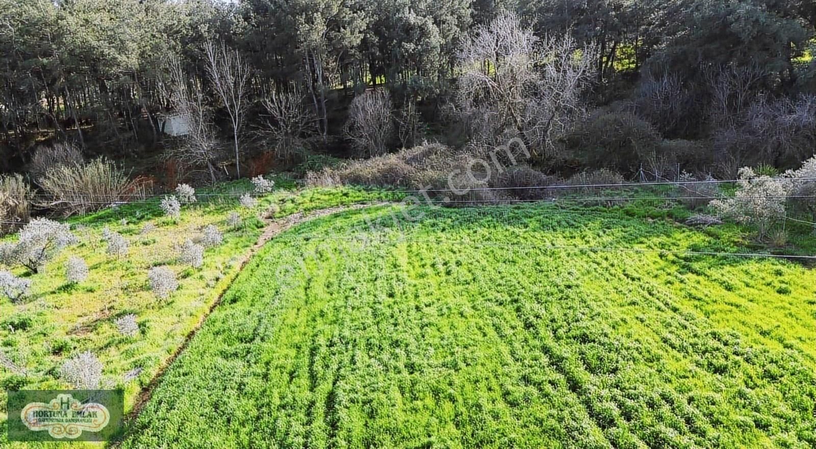 İzmir Menderes Ataköyde Doğa İle İç İçe 4.400m2 Ev Satılık - Görsel 12