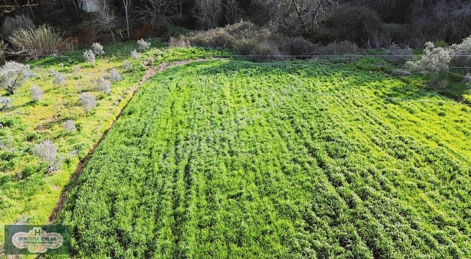 İzmir Menderes Ataköyde Doğa İle İç İçe 4.400m2 Ev Satılık - Görsel 19