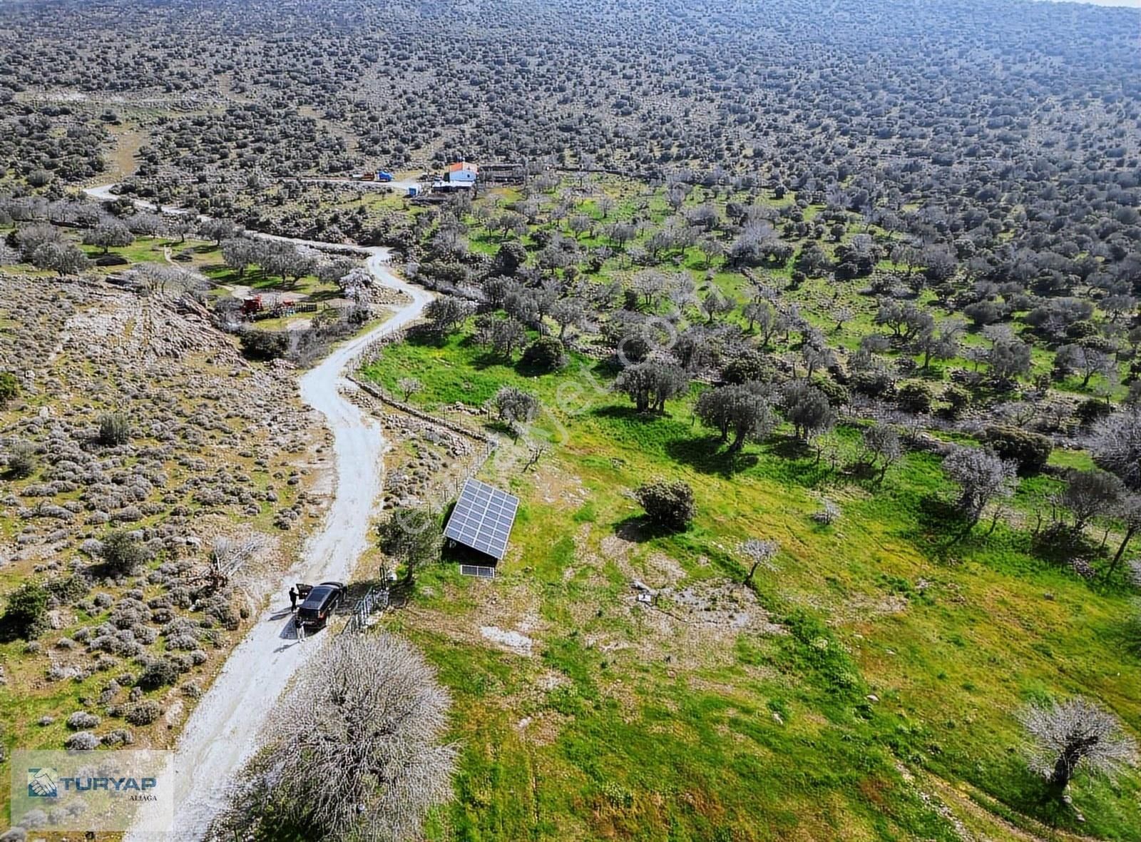 Aliağa Yenişakran Cezaevine Yakın Güneş Panelli Satılık Tarla - Görsel 5