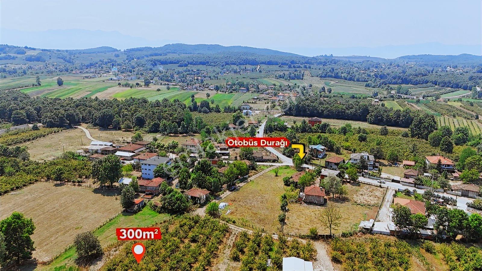 Hendek Aşağıçalıca'da Doğa İle İçiçe 300m2 - Görsel 4
