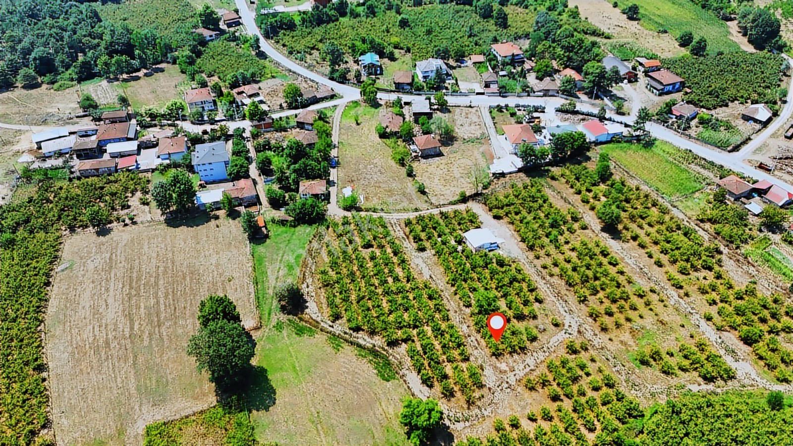 Hendek Aşağıçalıca'da Doğa İle İçiçe 300m2 - Görsel 3