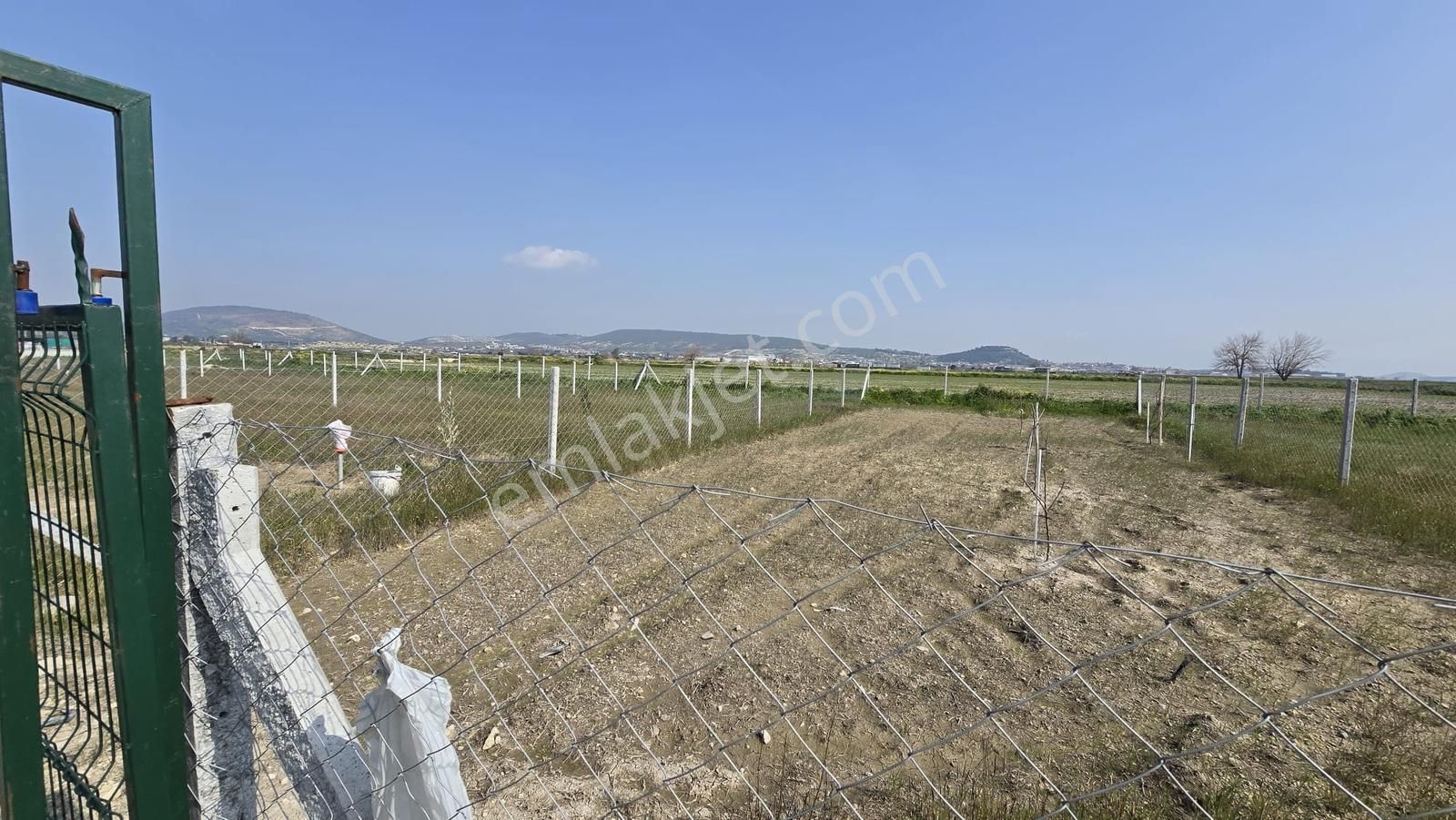 Foça Gerenköy'de Satılık Tarla - Görsel 7