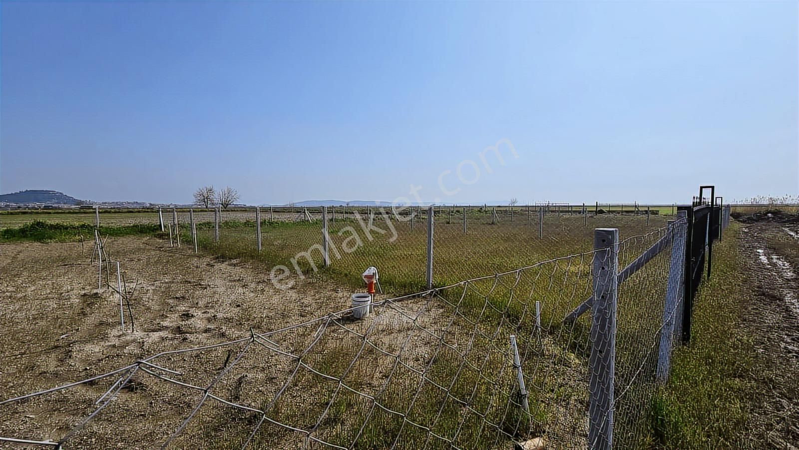 Foça Gerenköy'de Satılık Tarla - Görsel 18