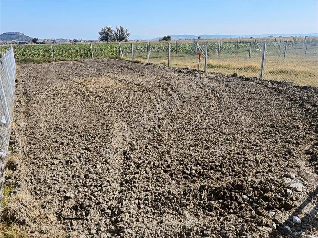 Foça Gerenköy'de Satılık Tarla - Görsel 29