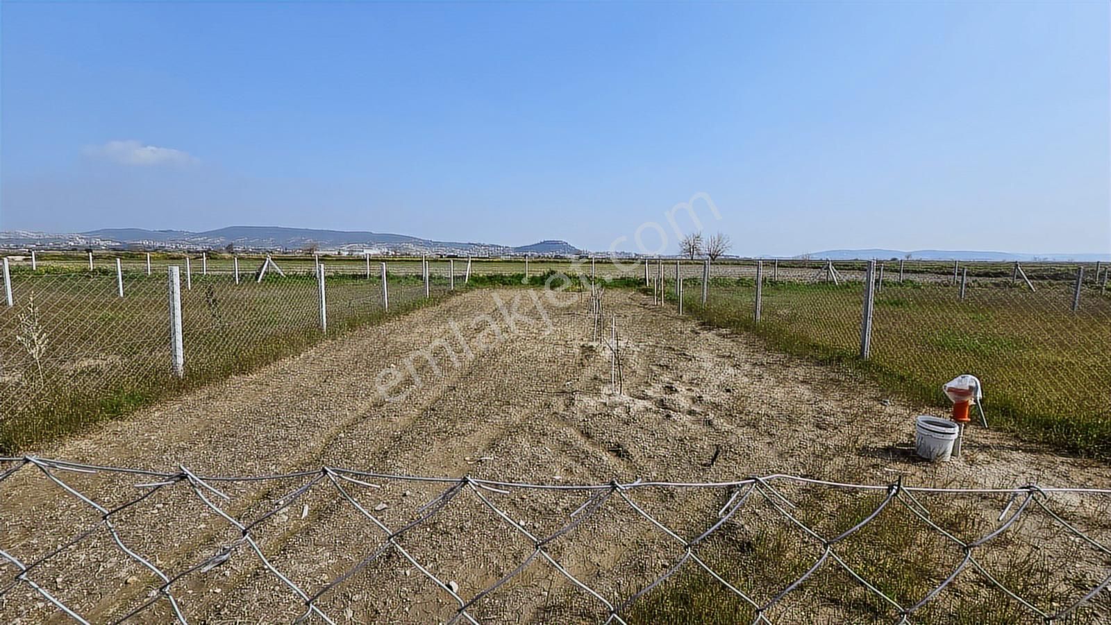 Foça Gerenköy'de Satılık Tarla - Görsel 13