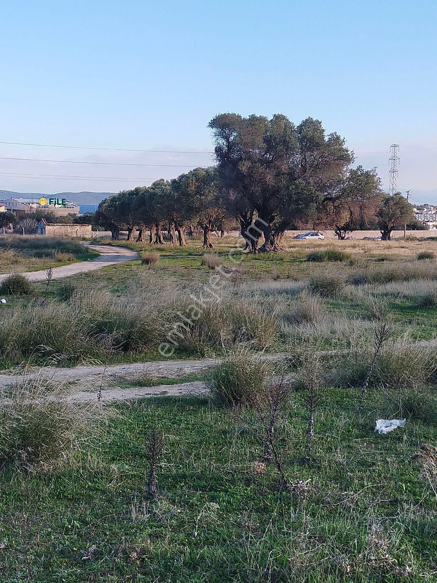 İzmir' İn İncisi Mordoğanin En Güzel Konumunda Satılık Büyük Tar - Görsel 7