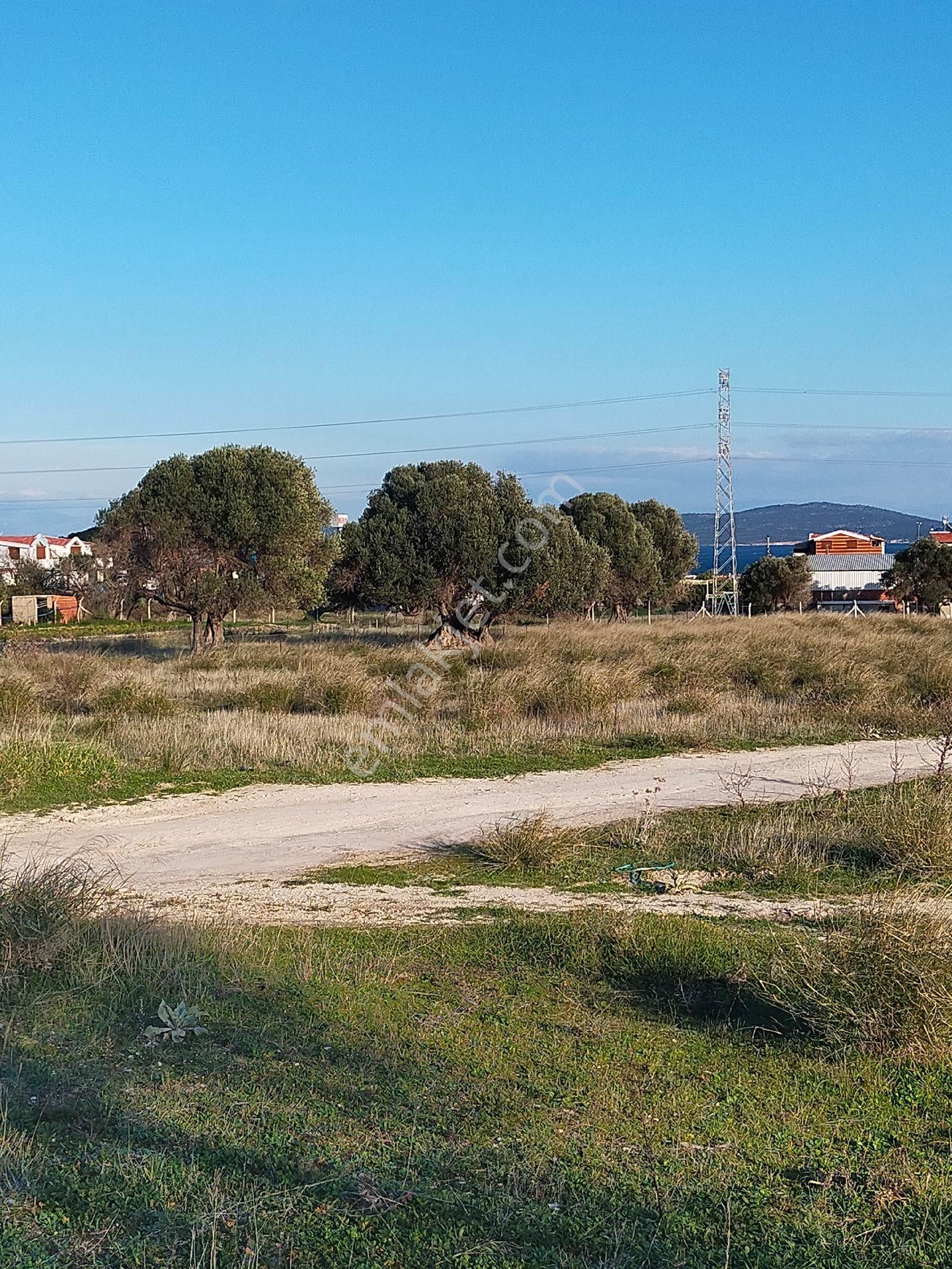 İzmir' İn İncisi Mordoğanin En Güzel Konumunda Satılık Büyük Tar - Görsel 3