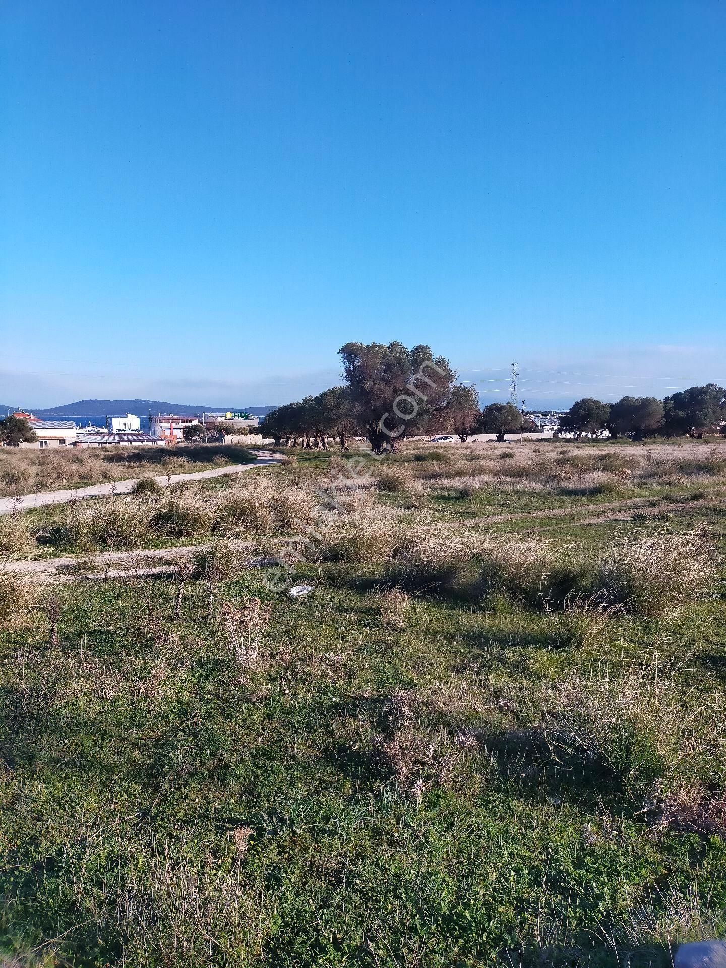 İzmir' İn İncisi Mordoğanin En Güzel Konumunda Satılık Büyük Tar - Görsel 2