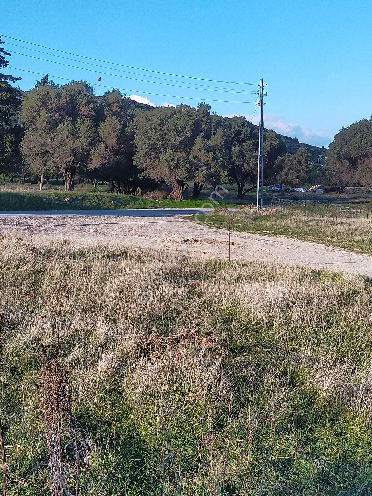 İzmir' İn İncisi Mordoğanin En Güzel Konumunda Satılık Büyük Tar - Görsel 5