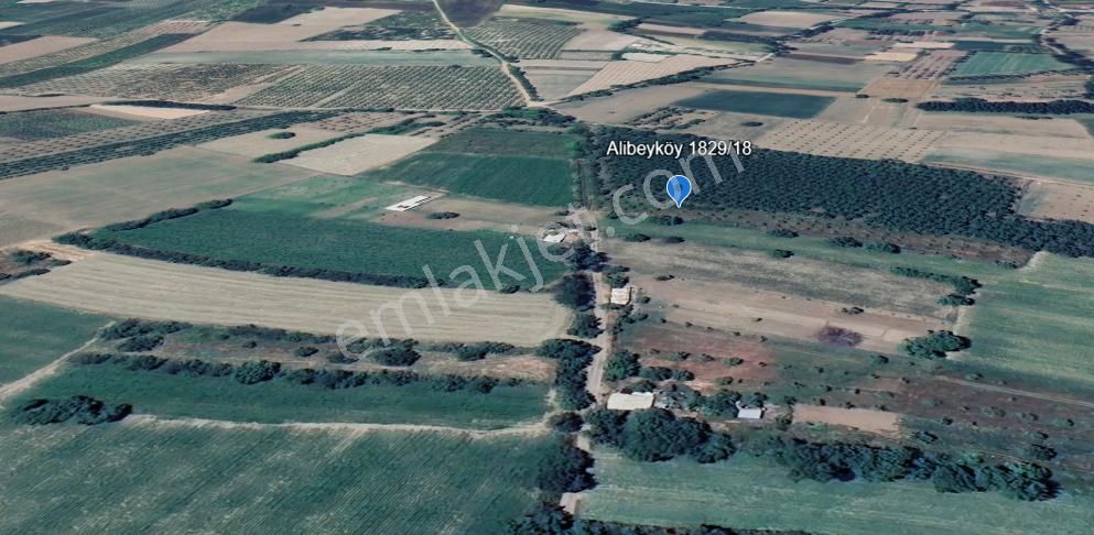 İnegöl Alibeyköy'de Satılık 3650 M² Meyve Bahçesi