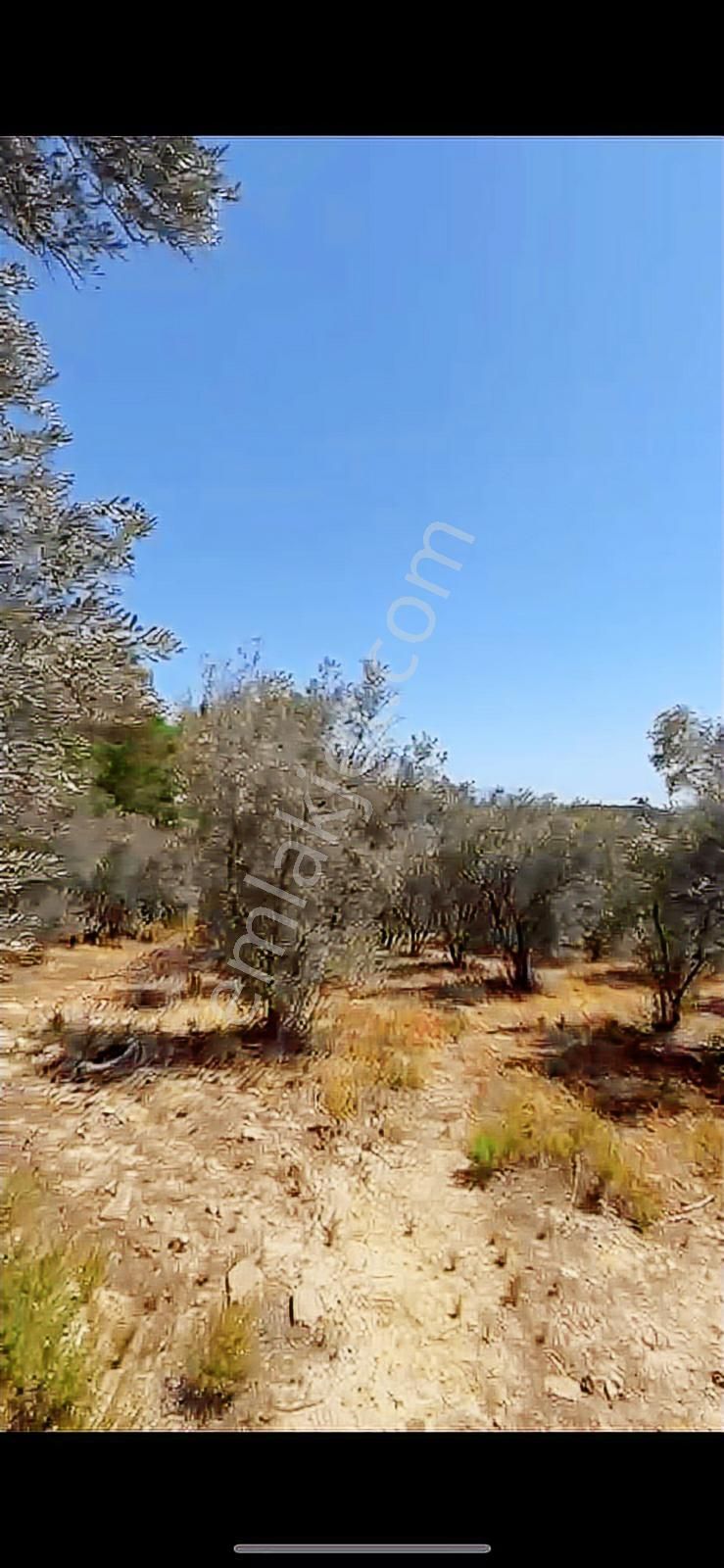 Muğla Seydikemer Seydiler Satılık Müstakil Tapulu Arsa - Görsel 8