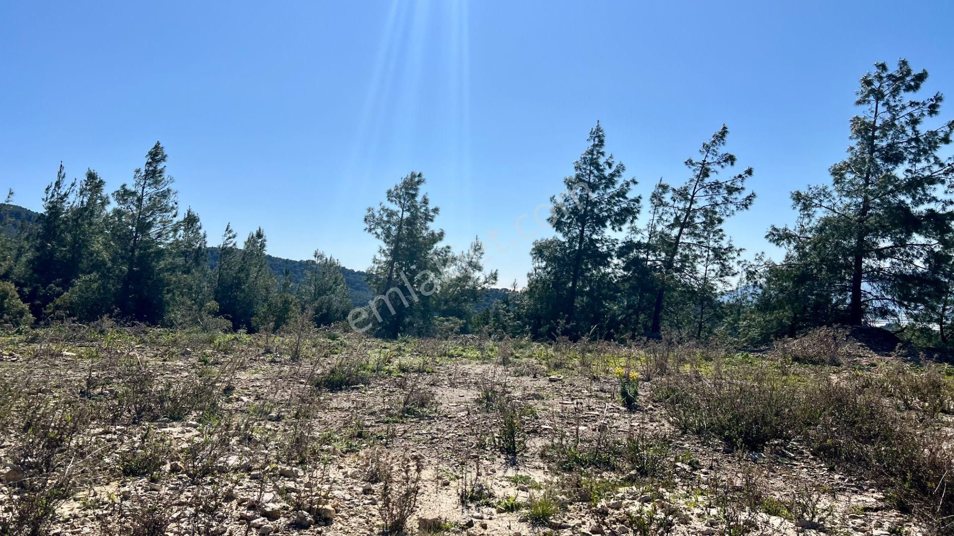 Antalya Kumluca Belen Mahallesi'nde Satılık Müstakil Tapulu Arazi - Görsel 34