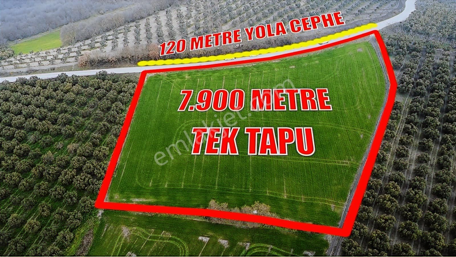 Hançerli'de Asfalt Yola 120metre Cepheli 7.900m2 Fırsat Tarla - Görsel 4