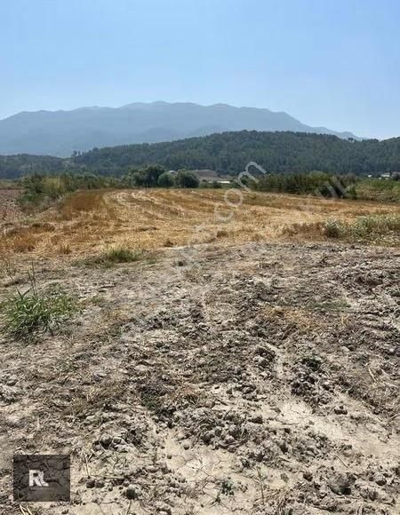 Muğla Seydikemer Demirler Mah. Satılık Tarla - Görsel 3