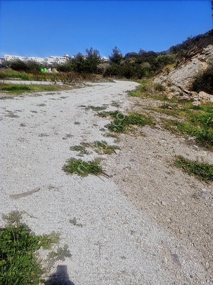 Muğla Milas Boğaziçi Satılık Avm Yol Üzeri Satılık İmarlı Arsa - Görsel 13