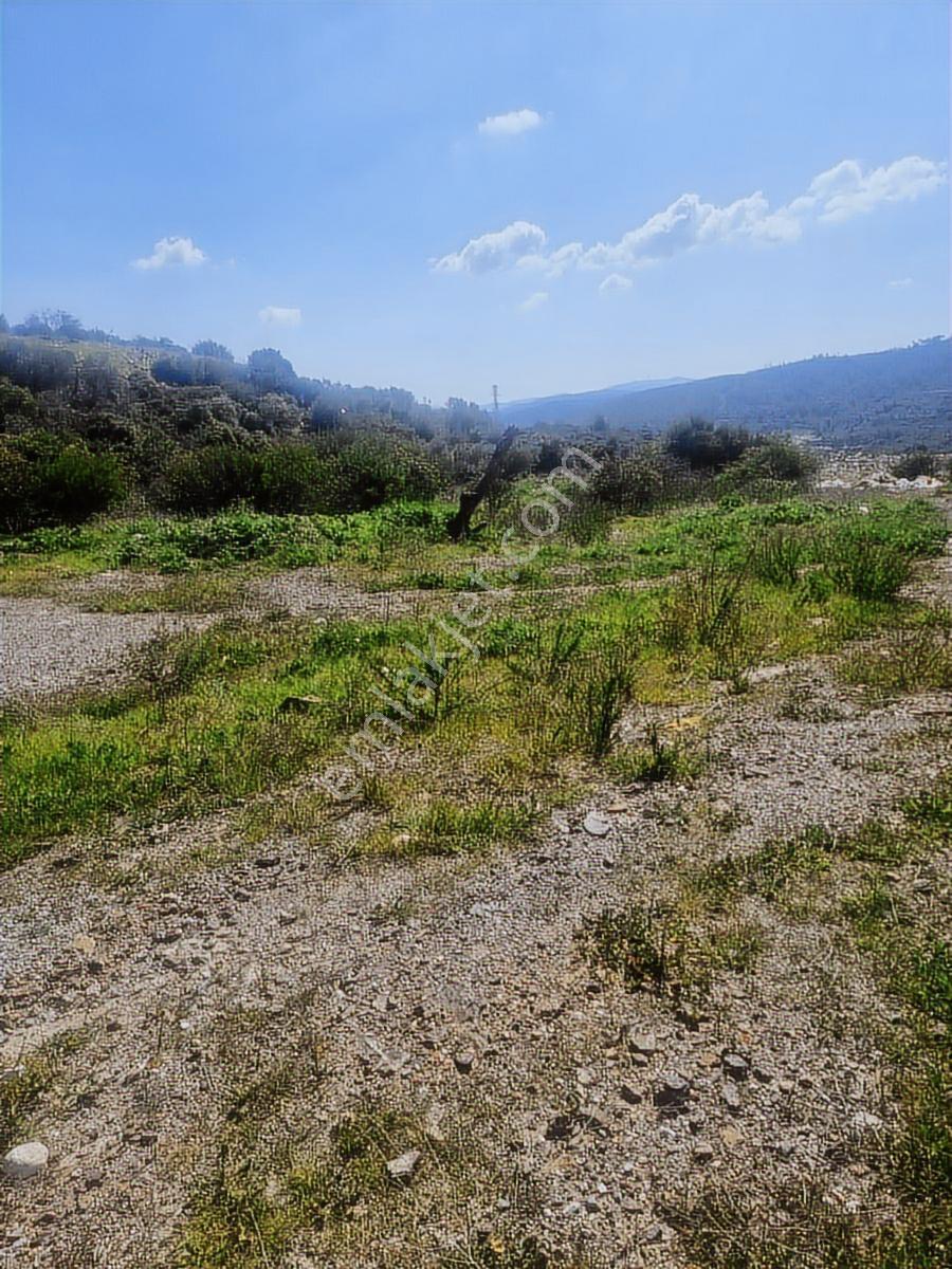 Muğla Milas Boğaziçi Satılık Avm Yol Üzeri Satılık İmarlı Arsa - Görsel 18