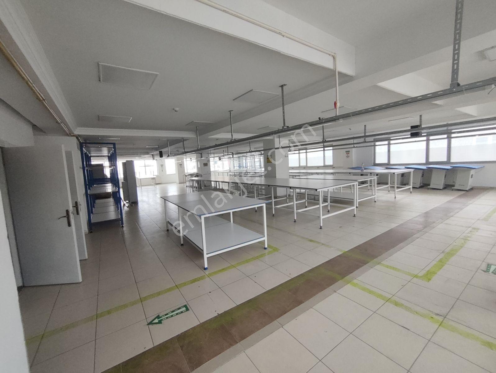 Enes Malik Toraman'dan Kliniğe Dershaneye Uygun 500m2 Plaza Katı