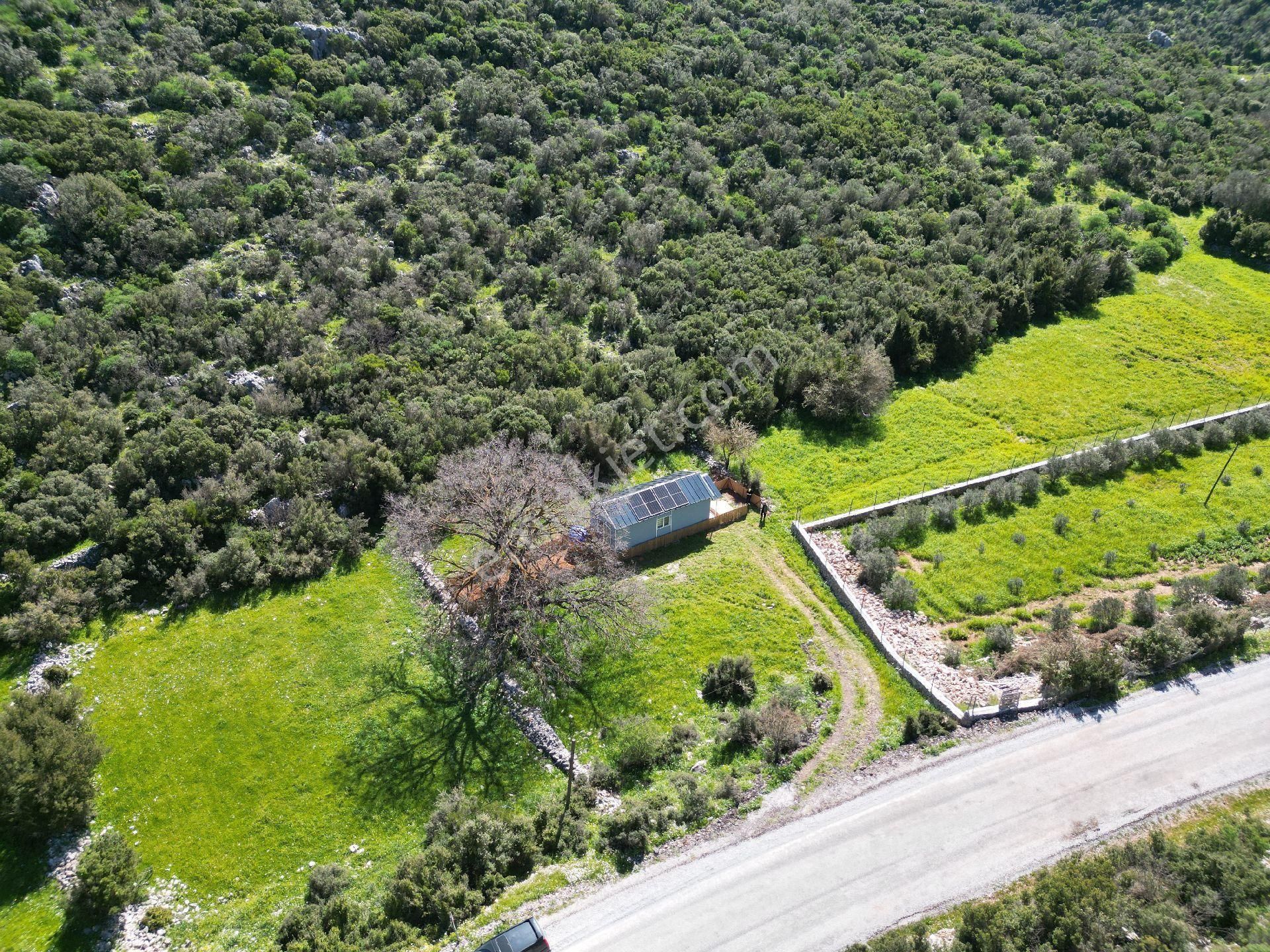 Joker: Marmaris Söğüt Doğa İçinde Müstakil Yaşam Fırsatı - Görsel 34