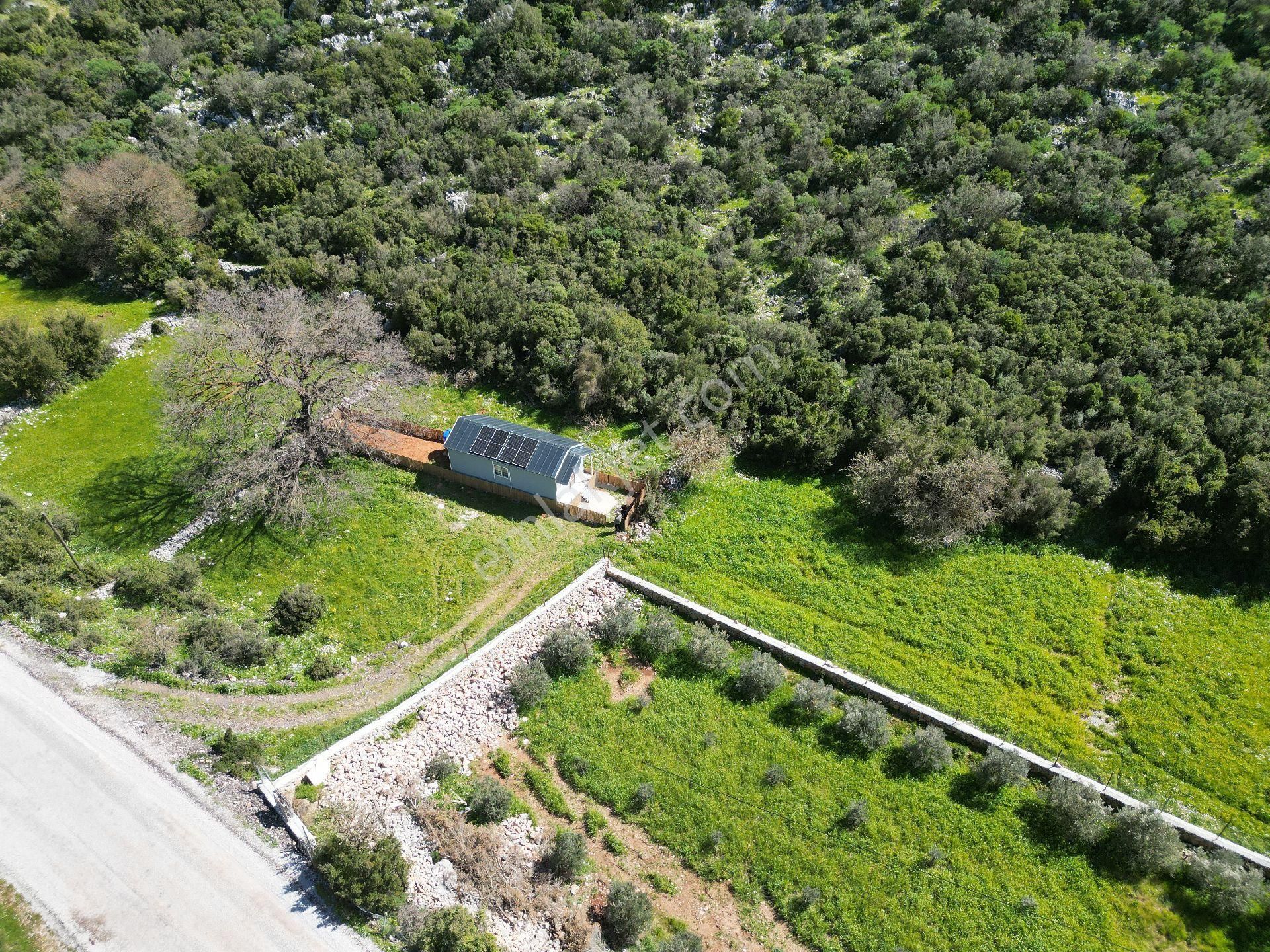 Joker: Marmaris Söğüt Doğa İçinde Müstakil Yaşam Fırsatı - Görsel 31