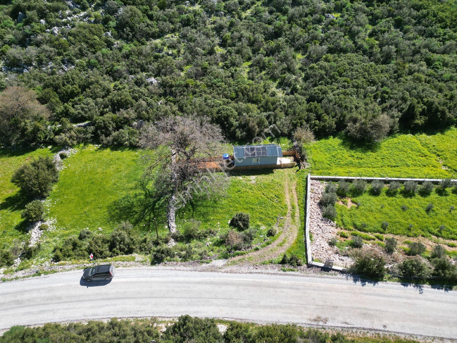 Joker: Marmaris Söğüt Doğa İçinde Müstakil Yaşam Fırsatı - Görsel 35