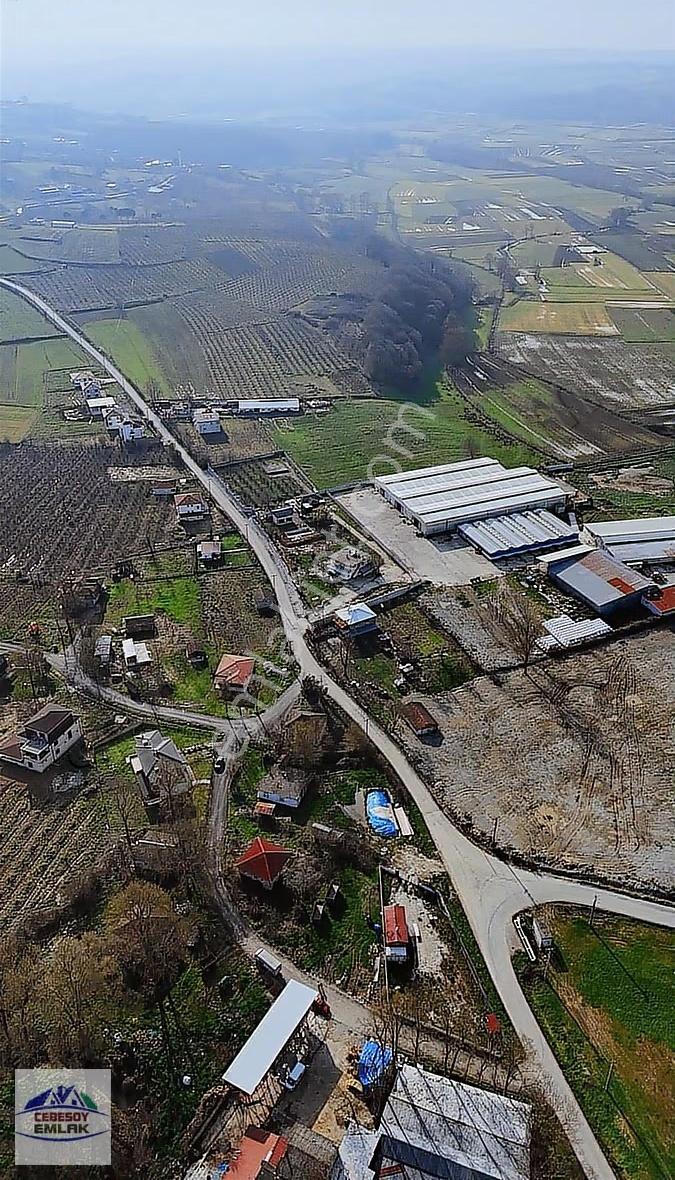 Karadeniz Sahil Yoluna 2 Dakika Mesafede %40 İmarlı 702 M² Arsa - Görsel 8