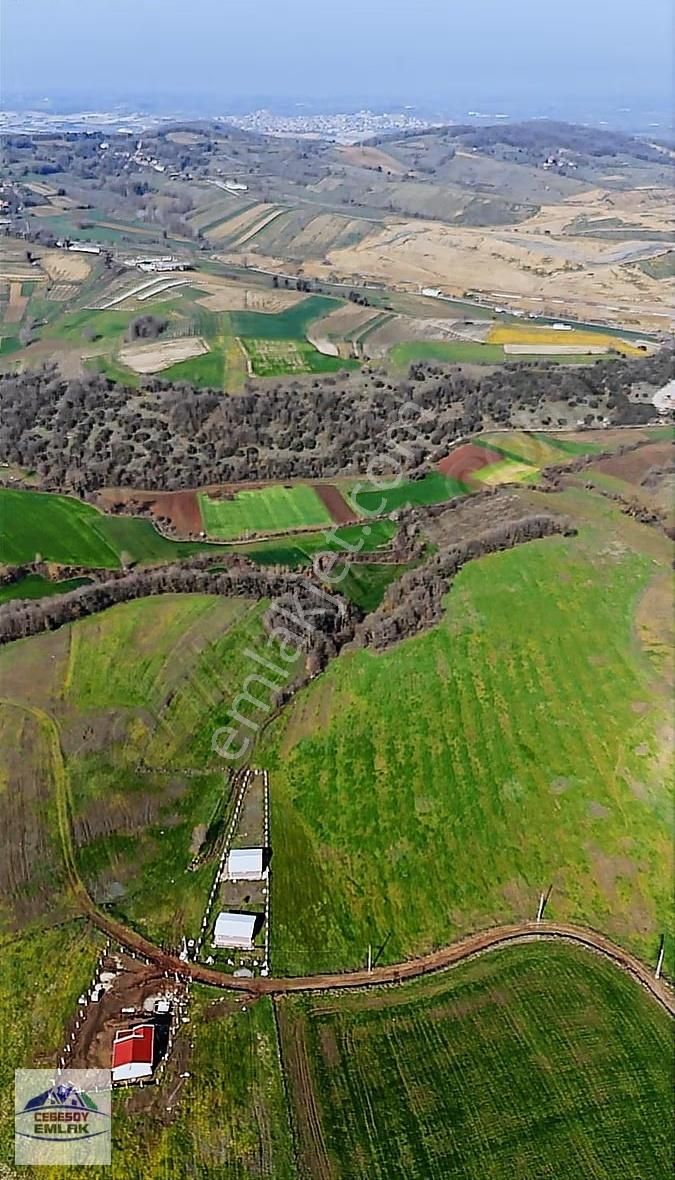 Sabırlı Mahallesi'nde 1240m² Satılık Arazi Fırsatı - Görsel 7