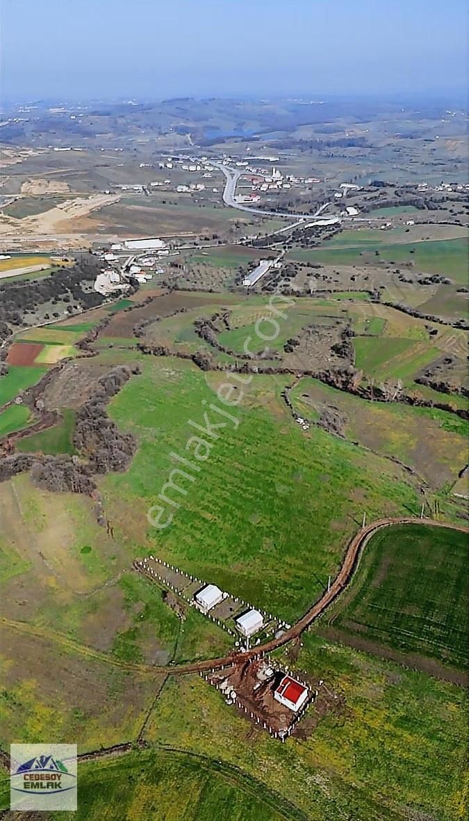 Sabırlı Mahallesi'nde 1240m² Satılık Arazi Fırsatı - Görsel 2