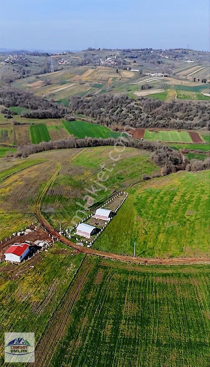 Sabırlı Mahallesi'nde 1240m² Satılık Arazi Fırsatı - Görsel 10