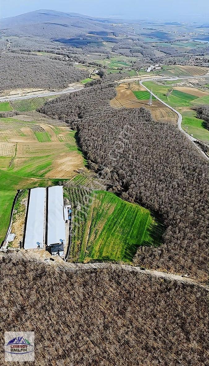 Sabırlı Mahallesinde Tavuk Kümesi Yapımına Uygun 7.106 M² Arazi - Görsel 3