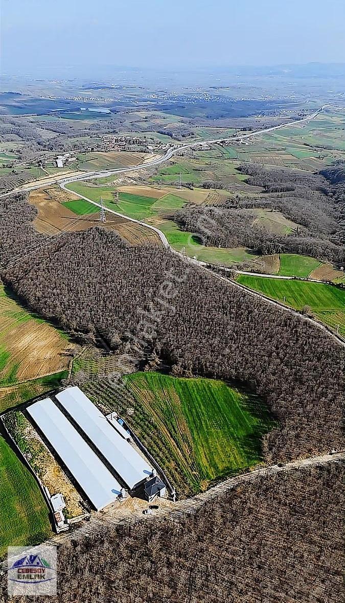 Sabırlı Mahallesinde Tavuk Kümesi Yapımına Uygun 7.106 M² Arazi - Görsel 12