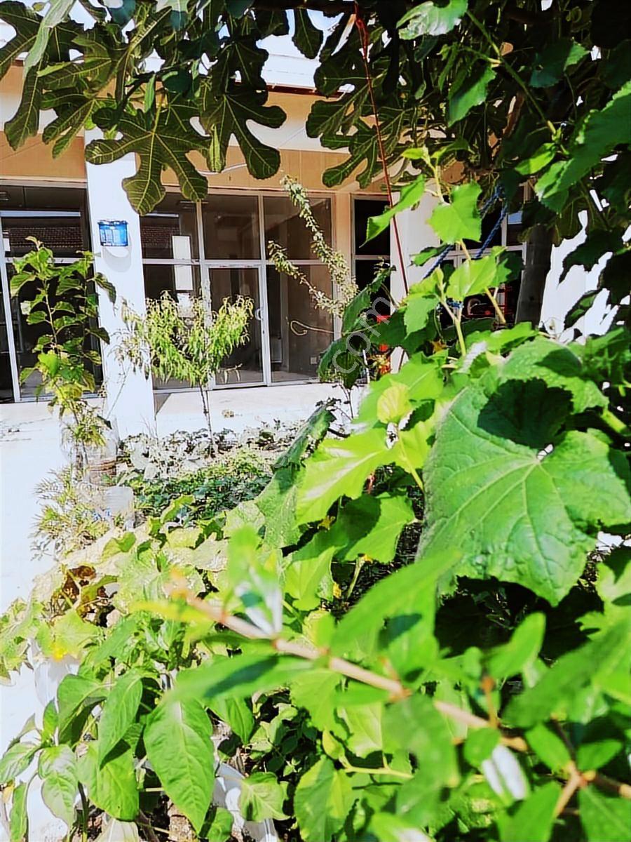 Toki Ticaret Merkezinde 150 M² Satılık Kelepir Dükkan - Görsel 26