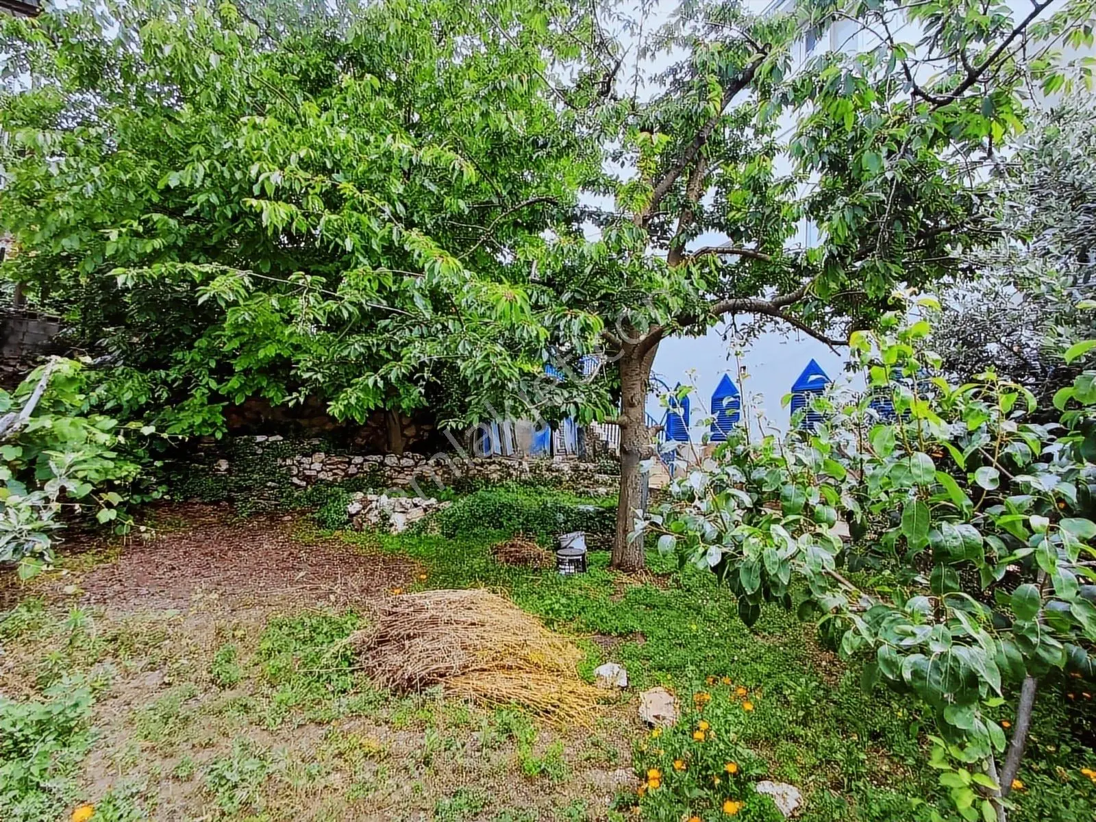 **nova** Kepirli Yaylası Tripleks 6+3 Satılık Müstakil Ev - Görsel 3