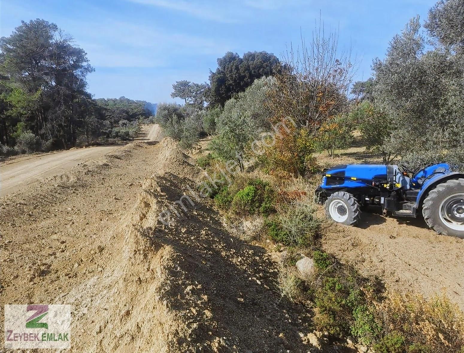 Seydikemer Zorlarda 4358m2 Arazimiz Acil Satılıktır. - Görsel 2