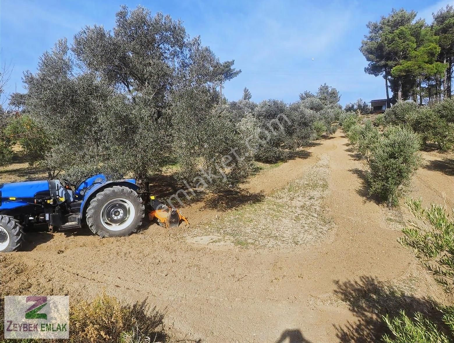 Seydikemer Zorlarda 4358m2 Arazimiz Acil Satılıktır. - Görsel 6