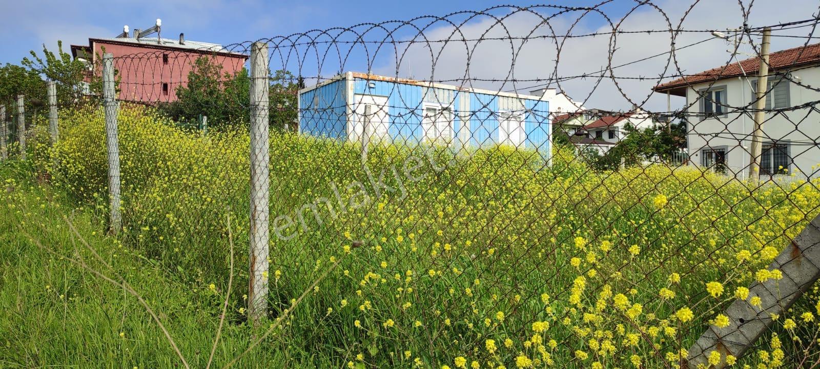 Sahibinden Merkezde Deniz Ve Köprü Manzaralı Fırsat Çok Acil - Görsel 13