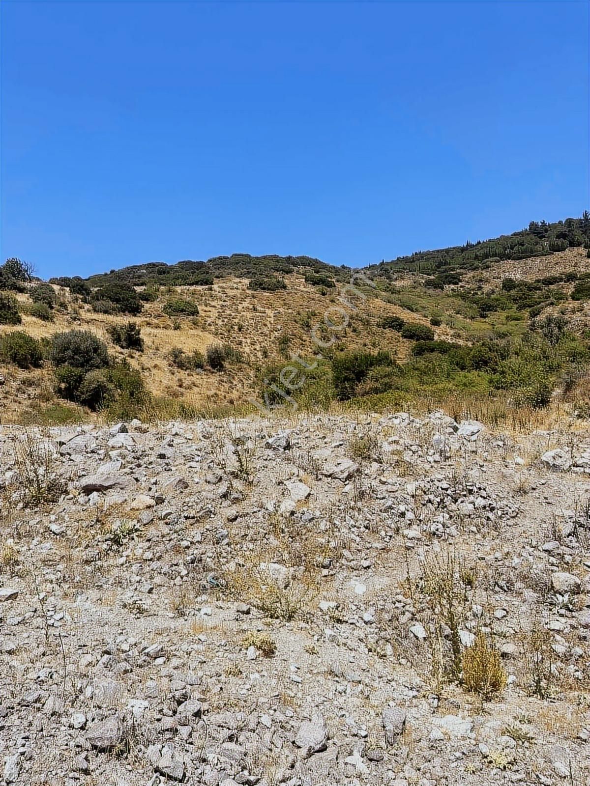 Bayraklı Doğançay Toki Konutları Yanı Yatırımlık Satılık 500 M2 - Görsel 4