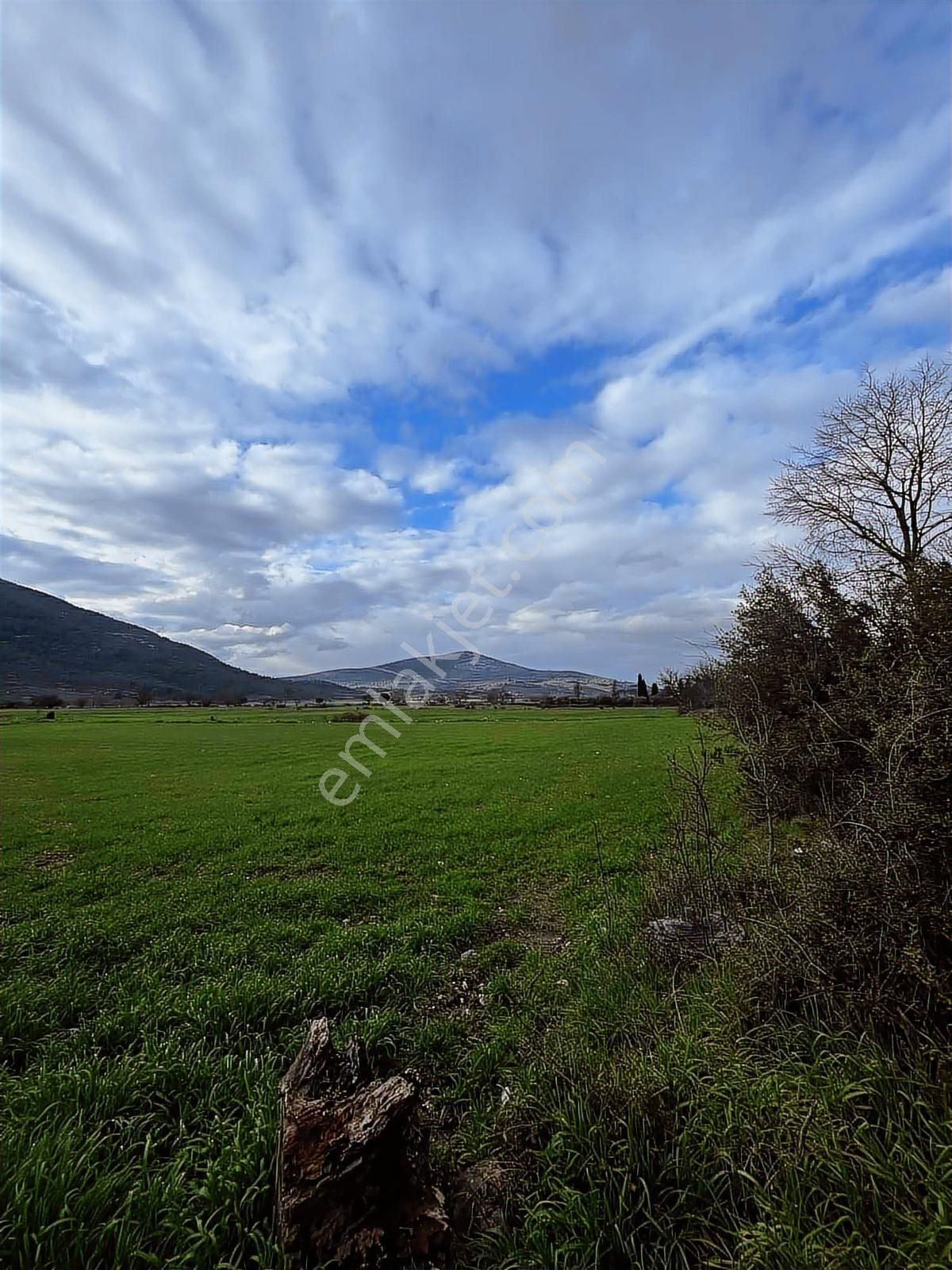 Muğla Menteşe Yeşilyurt Mah. Satılık 3200 M2 Tarla - Görsel 5