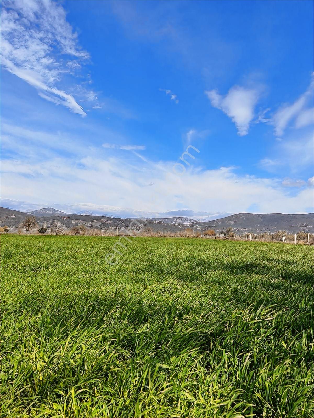 Muğla Menteşe Yeşilyurt Mah. Satılık 3200 M2 Tarla - Görsel 12